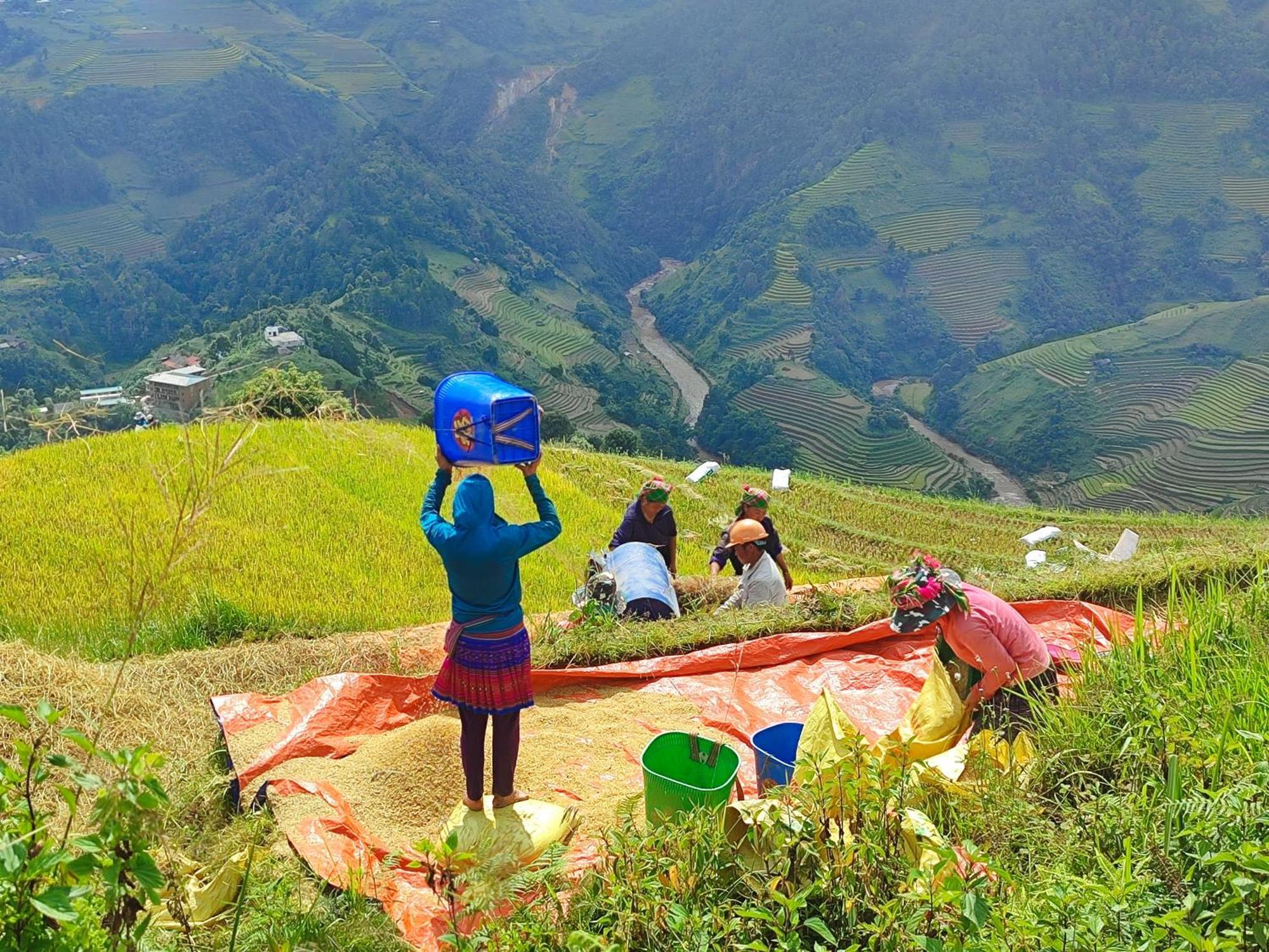 & Trekking Mu Cang Chai